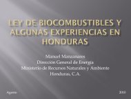 BIOCOMBUSTIBLES EN HONDURAS