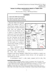 Issues in writing a grammatical sketch in Tiddim Chin