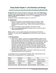 Study Guide Chapter 2: Life Chemistry and Energy - Fog.ccsf.edu