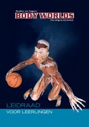 leidraad - Body Worlds