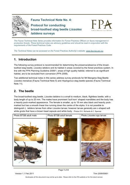 Broad-toothed stag beetle survey protocol - The Forest Practices ...