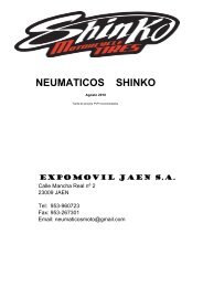 Shinko. Descripcion y modelos - Expomoto