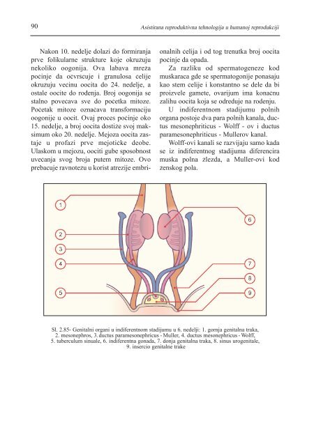 asistirana reproduktivna tehnologija u humanoj reprodukciji