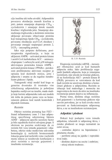 asistirana reproduktivna tehnologija u humanoj reprodukciji