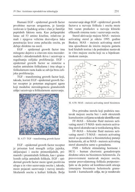 asistirana reproduktivna tehnologija u humanoj reprodukciji