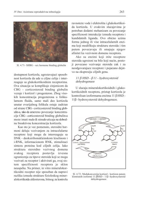 asistirana reproduktivna tehnologija u humanoj reprodukciji