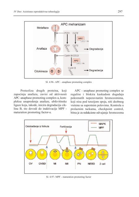 asistirana reproduktivna tehnologija u humanoj reprodukciji