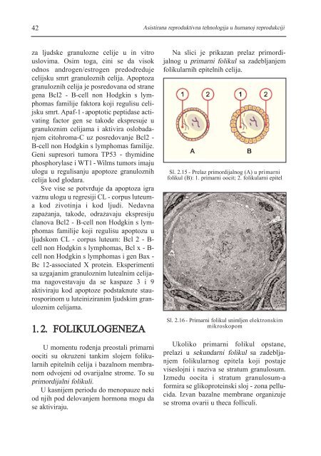 asistirana reproduktivna tehnologija u humanoj reprodukciji