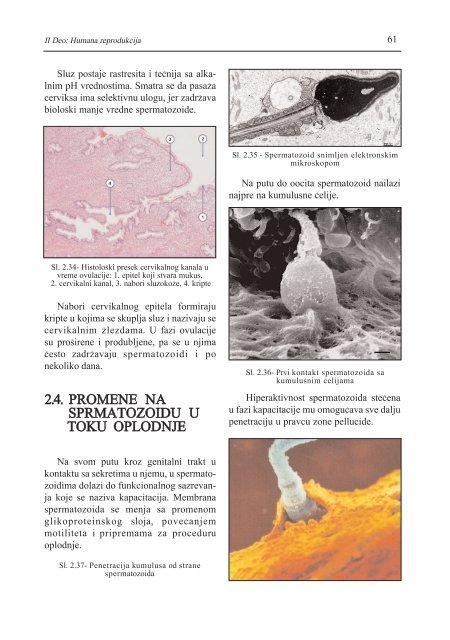 asistirana reproduktivna tehnologija u humanoj reprodukciji