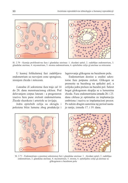 asistirana reproduktivna tehnologija u humanoj reprodukciji