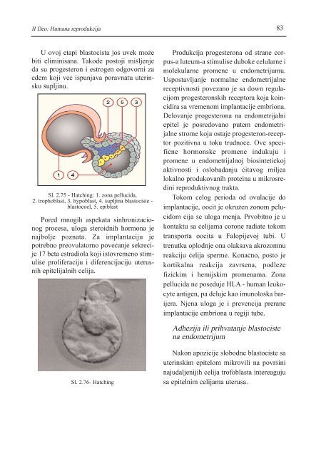 asistirana reproduktivna tehnologija u humanoj reprodukciji