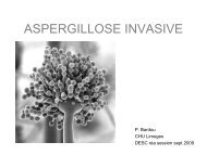 Aspergillose invasive : épidémiologie, diagnostic et traitement.