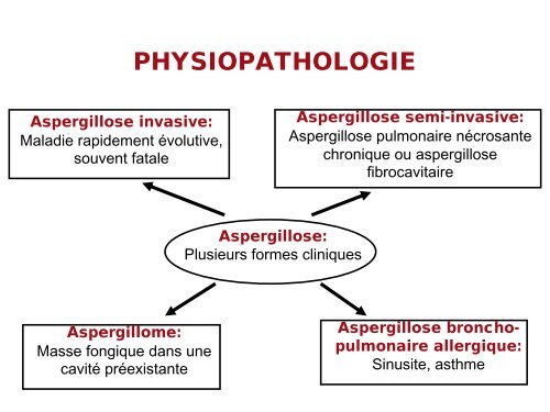 Aspergillose invasive : épidémiologie, diagnostic et traitement.