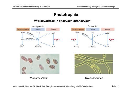 download pdf (Mikrobiologie, 30.11. 09): V. Sourjik - ZMBH