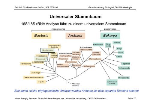 download pdf (Mikrobiologie, 30.11. 09): V. Sourjik - ZMBH