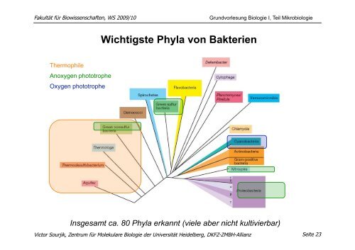 download pdf (Mikrobiologie, 30.11. 09): V. Sourjik - ZMBH