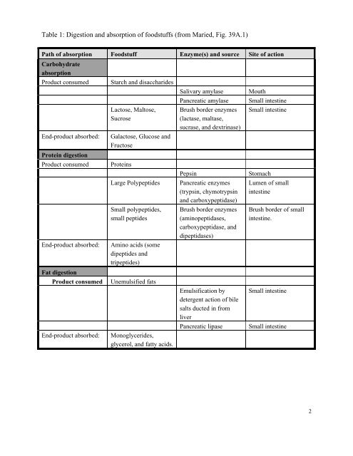 CHEMICAL AND PHYSICAL PROCESSES OF DIGESTION