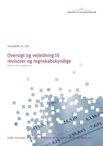 Oversigt og vejledning til revisorer og ... - Erhvervsstyrelsen