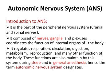 Autonomic Nervous System - UMK CARNIVORES 3