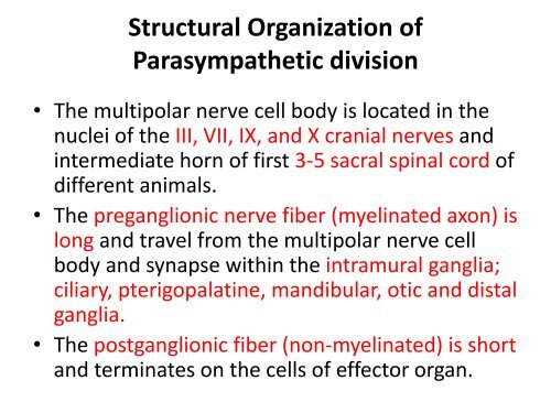 Autonomic Nervous System - UMK CARNIVORES 3