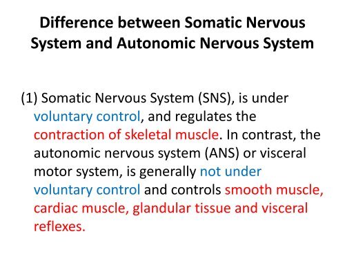 Autonomic Nervous System - UMK CARNIVORES 3
