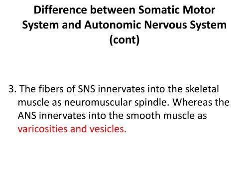 Autonomic Nervous System - UMK CARNIVORES 3