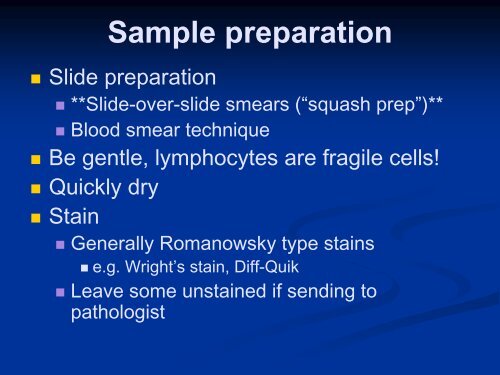 Lymph Node Cytology - American Society for Veterinary Clinical ...