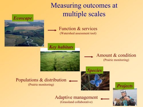 Grassland Vegetation Monitoring: A Minnesota Wildlife Action Plan ...