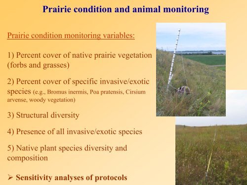 Grassland Vegetation Monitoring: A Minnesota Wildlife Action Plan ...