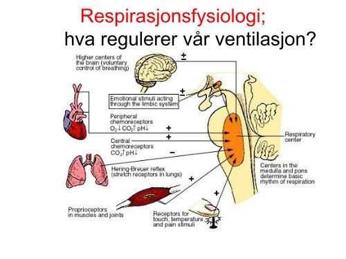 KOLS â€“ oksygen eller ikke? - nakos