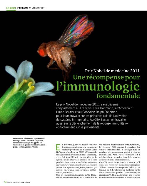 CEAS_lejournal_53 - CEA Saclay