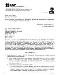 Autorización PSGCFDSP