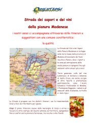 Strada dei sapori e dei vini della pianura Modenese - Orientarsi