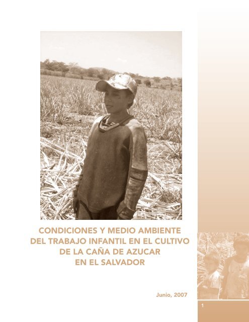 Condiciones y medio ambiente del trabajo infantil en la caÃ±a de ...