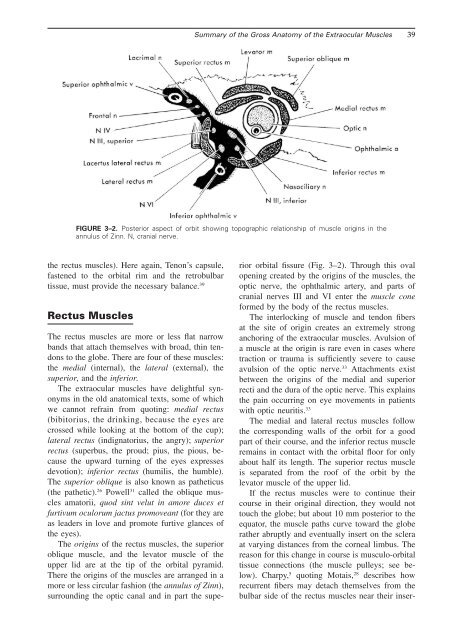 Chapter 3: Summary of the Gross Anatomy of the Extraocular Muscles