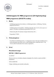 Utbildningsplan (pdf) - Blekinge Tekniska HÃ¶gskola