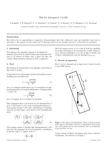 Mal for labrapport i fysikk - NTNU