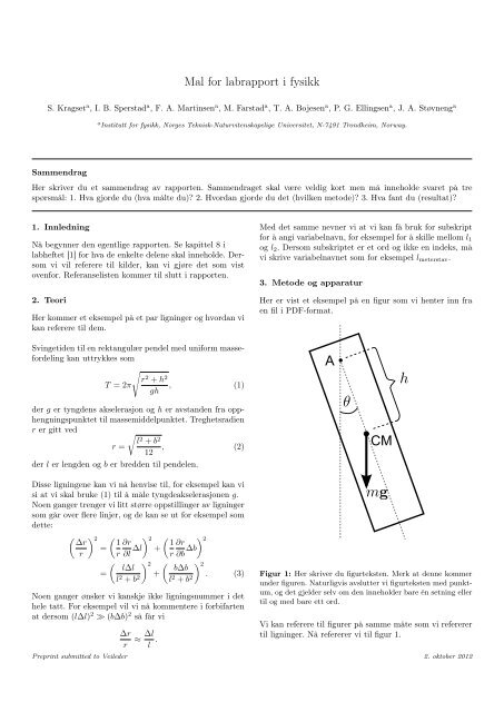 Mal for labrapport i fysikk - NTNU