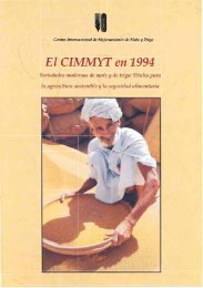 El CIMMYT en 1994 - Search CIMMYT repository