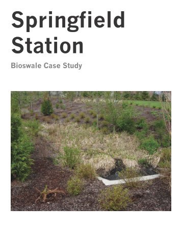 Springfield Station Bioswale Case Study - Urbanized Adaptation