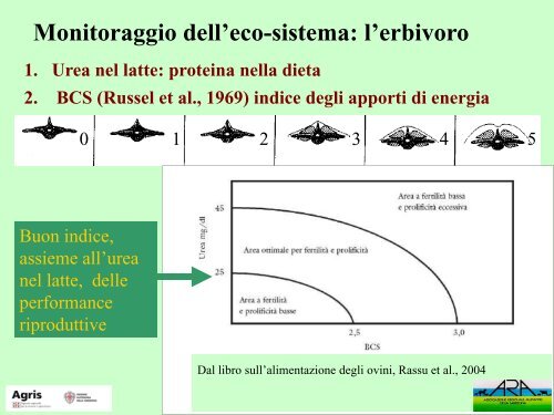 Buone pratiche di pascolamento degli ovini - Agris - ARAS [file .pdf]