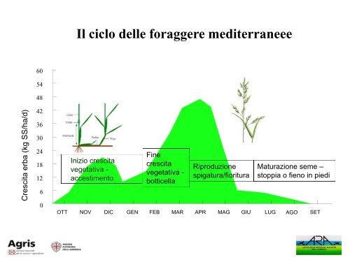 Buone pratiche di pascolamento degli ovini - Agris - ARAS [file .pdf]