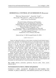 HORMONAL CONTROL OF GUMMOSIS IN Rosaceae