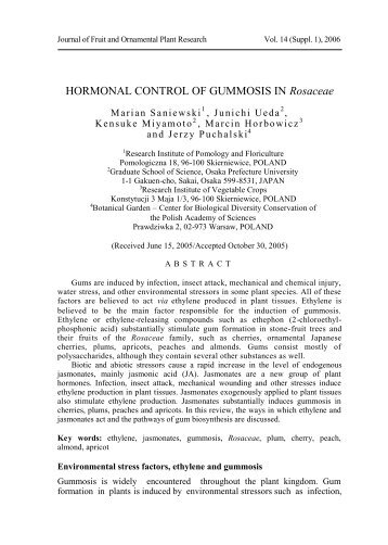 HORMONAL CONTROL OF GUMMOSIS IN Rosaceae