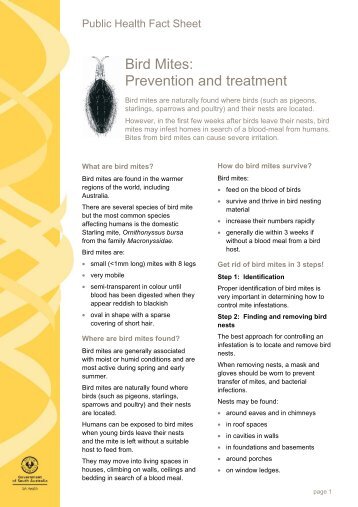 Bird Mites: Prevention and treatment - SA Health - SA.Gov.au