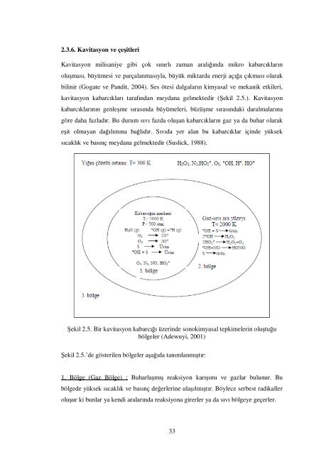 tc sÃ¼leyman demirel Ã¼niversitesi fen bilimleri enstitÃ¼sÃ¼ ultrasonik ...