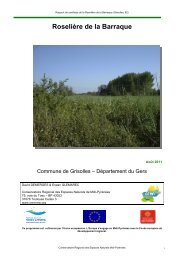 Roselière de la Barraque - Agence de l'eau Adour-Garonne