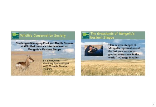 Challenges Managing Foot and Mouth Disease (FMD) at the Wildlife ...