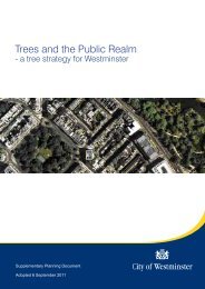 Trees and the Public Realm - Westminster City Council