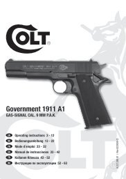 Government 1911 a1 - Frankonia